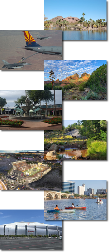 Phoenix area fire professionals